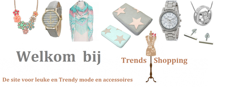 Wie is de persoon achter Trends Shopping