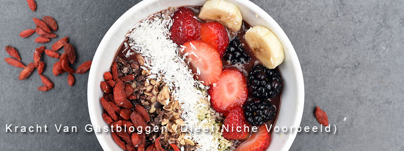 De Kracht Van Gastbloggen (Dieet Niche Voorbeeld)