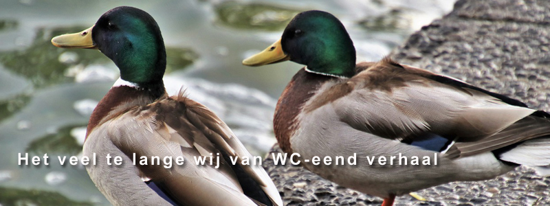Het veel te lange wij van WC-eend verhaal